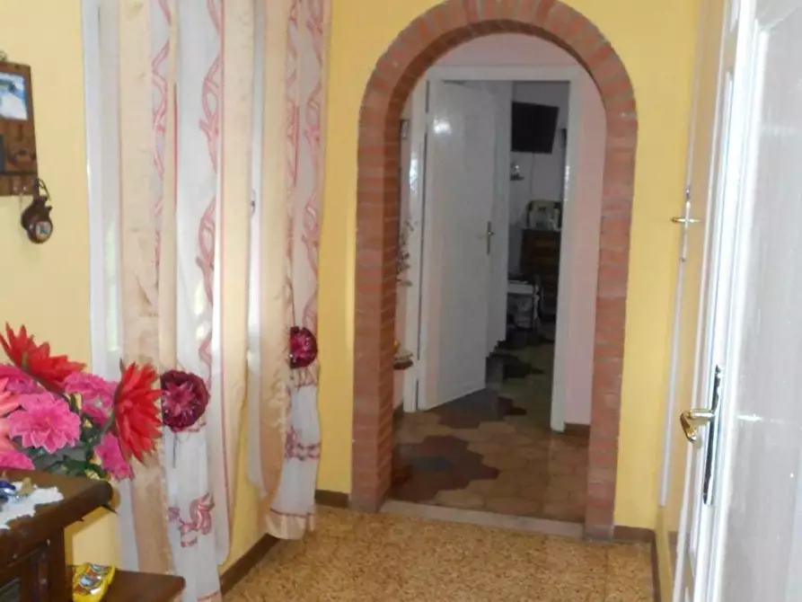 Immagine 14 di Appartamento in vendita  a Collesalvetti