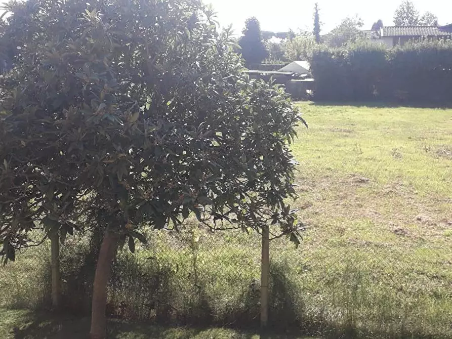 Immagine 38 di Casa indipendente in vendita  a Forte Dei Marmi