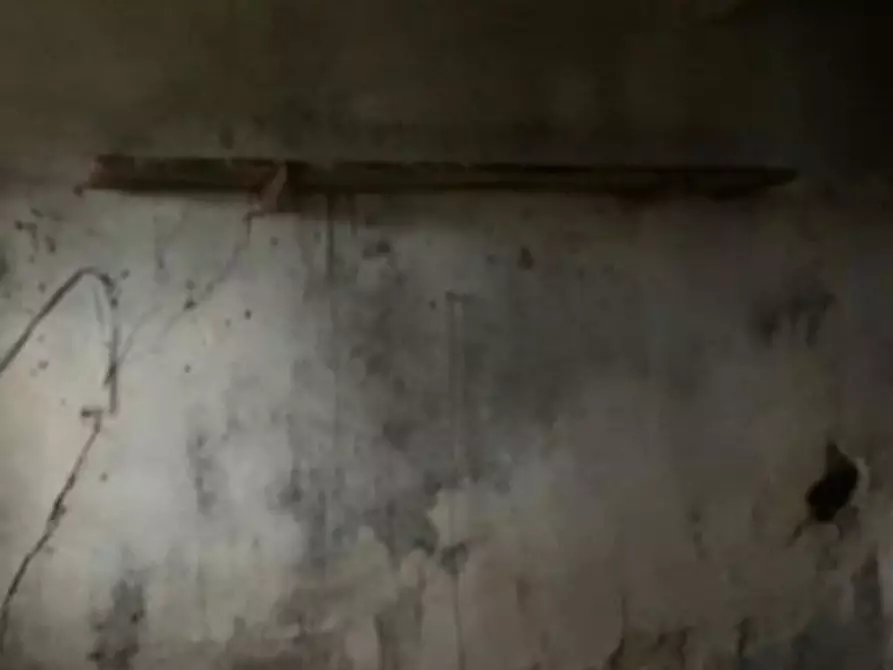 Immagine 3 di Rustico / casale in vendita  a Calci