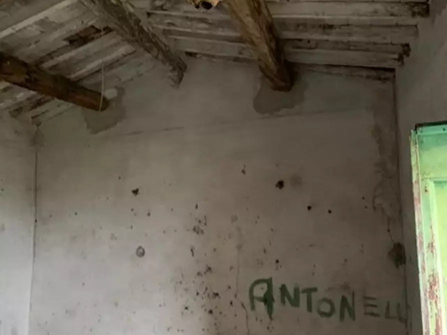 Immagine 9 di Rustico / casale in vendita  a Calci