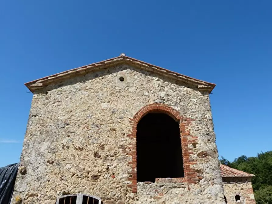 Immagine 10 di Casa colonica in vendita  a Montieri