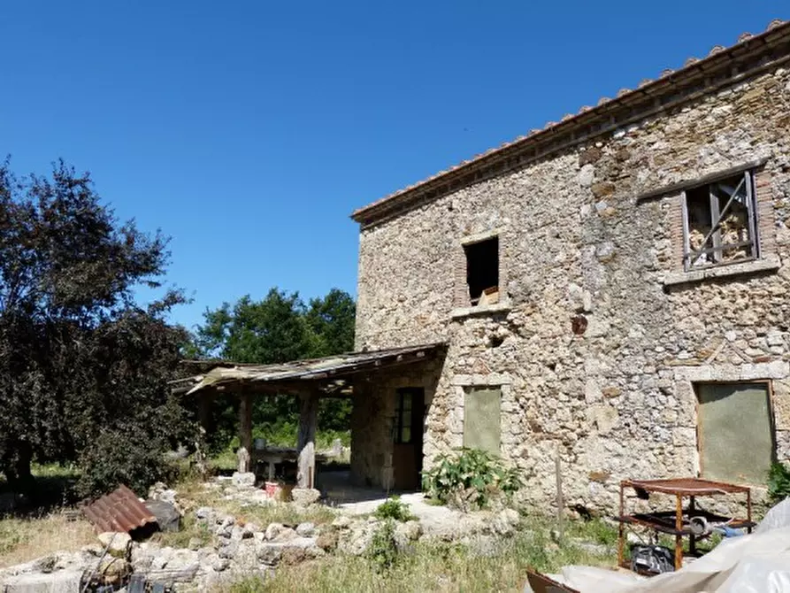 Immagine 5 di Casa colonica in vendita  a Montieri