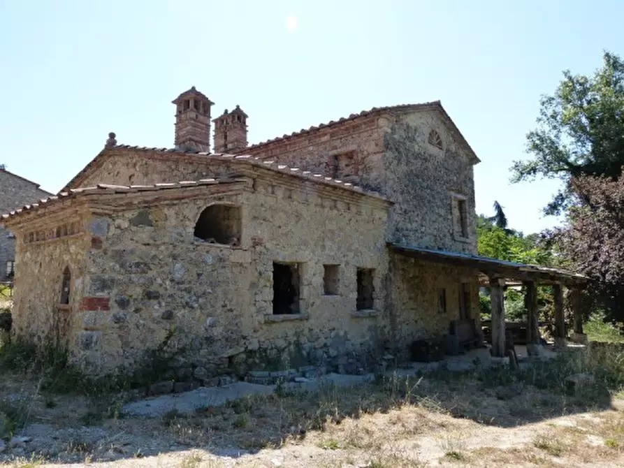 Immagine 6 di Casa colonica in vendita  a Montieri