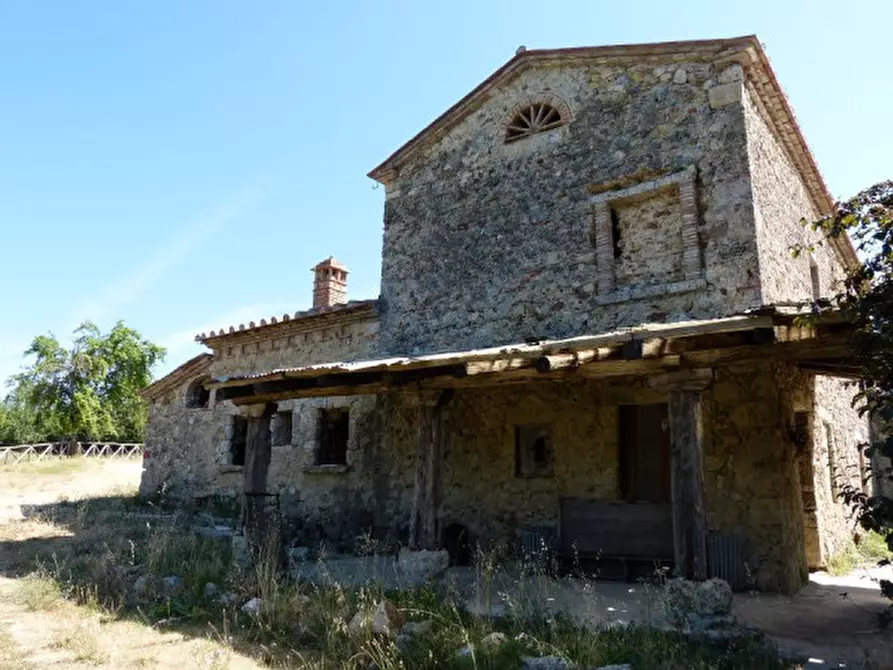 Immagine 4 di Casa colonica in vendita  a Montieri