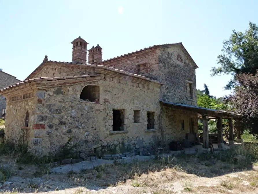 Immagine 3 di Casa colonica in vendita  a Montieri