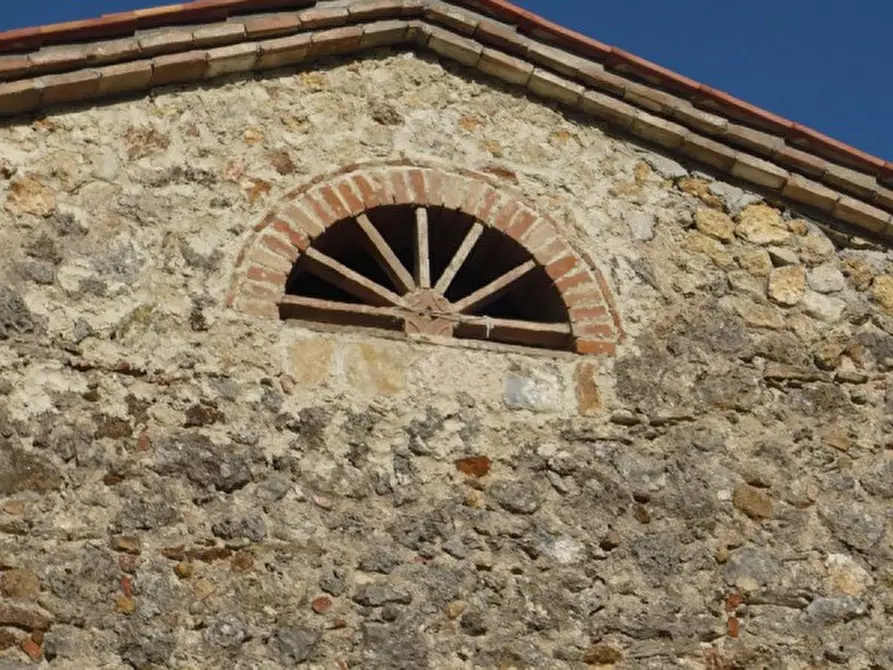 Immagine 11 di Casa colonica in vendita  a Montieri