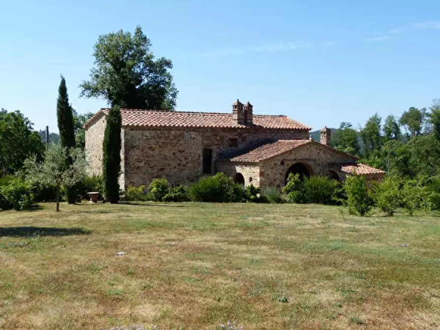 Immagine 2 di Casa colonica in vendita  a Montieri