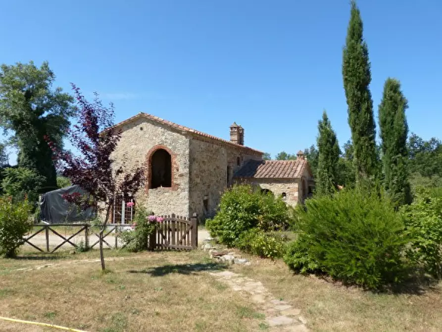 Immagine 8 di Casa colonica in vendita  a Montieri
