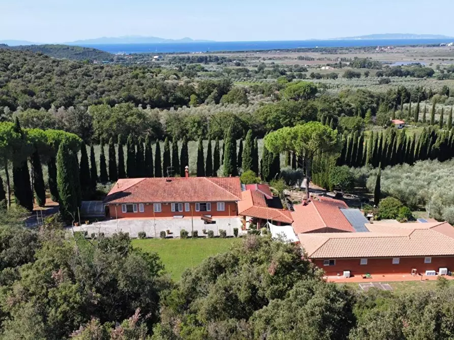 casa indipendente in vendita a Scarlino