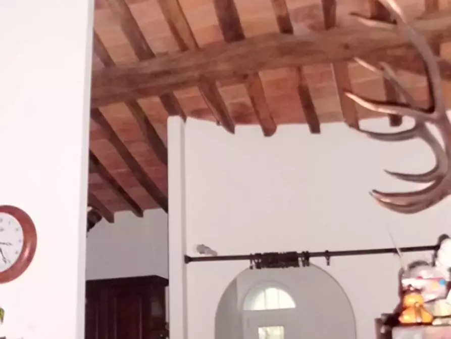 Immagine 8 di Casa colonica in vendita  a Calci