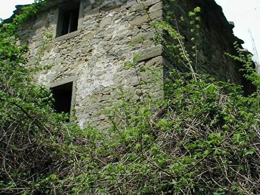 Immagine 4 di Casa colonica in vendita  a Poppi