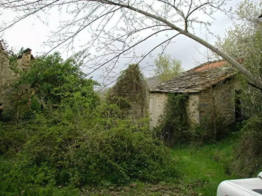 Immagine 5 di Casa colonica in vendita  a Poppi