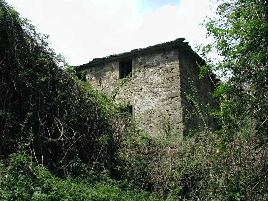 Immagine 1 di Casa colonica in vendita  a Poppi