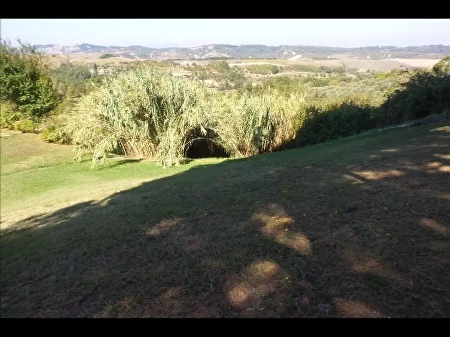 Immagine 21 di Casa colonica in vendita  a Montaione