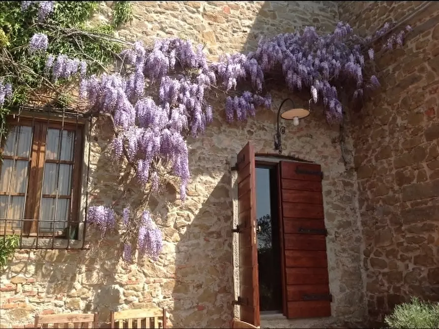 Immagine 5 di Casa colonica in vendita  a Vinci