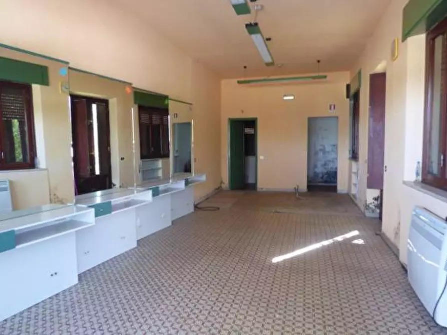 Immagine 1 di Villa in vendita  a Capannori