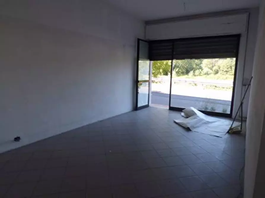 Immagine 6 di Villa in vendita  a Capannori