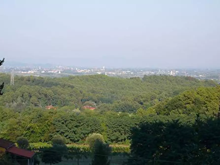 Immagine 18 di Villa in vendita  a Lucca