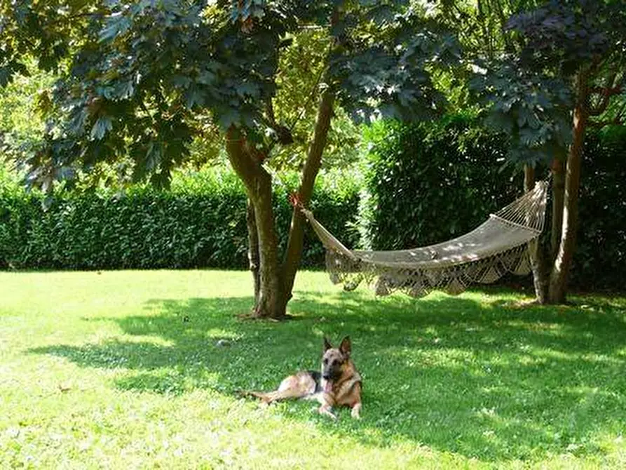 Immagine 6 di Villa in vendita  a Lucca