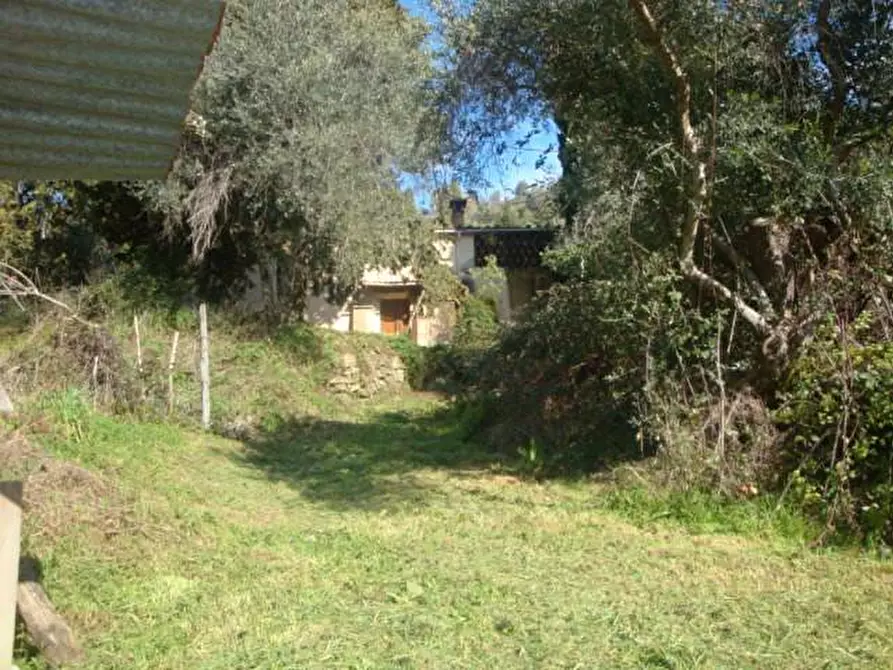 Immagine 18 di Rustico / casale in vendita  a Lucca