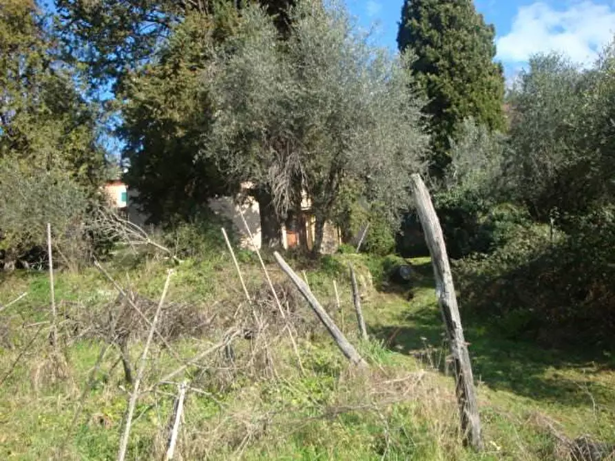 Immagine 16 di Rustico / casale in vendita  a Lucca