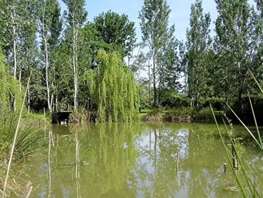 Immagine 3 di Rustico / casale in vendita  a Altopascio