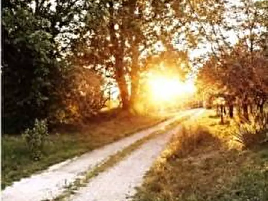 Immagine 2 di Rustico / casale in vendita  a Altopascio