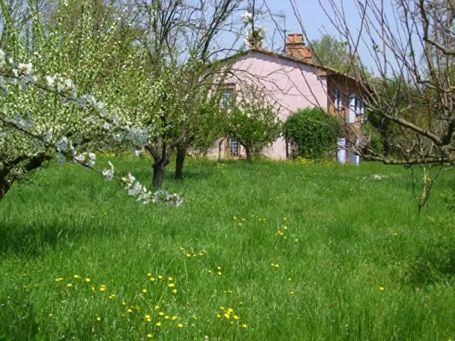 Immagine 8 di Rustico / casale in vendita  a Altopascio