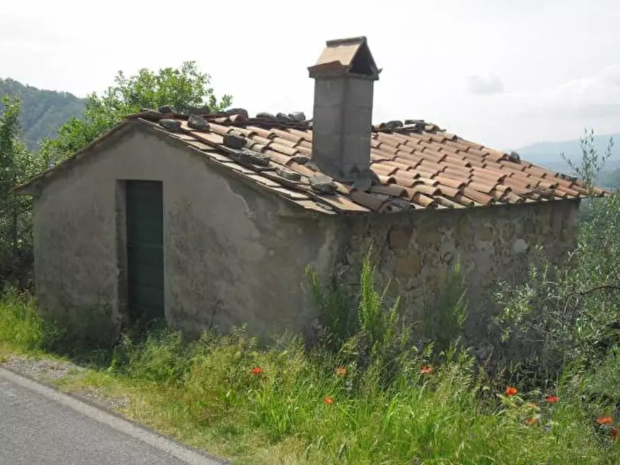 Immagine 1 di Terreno agricolo in vendita  a Lucca