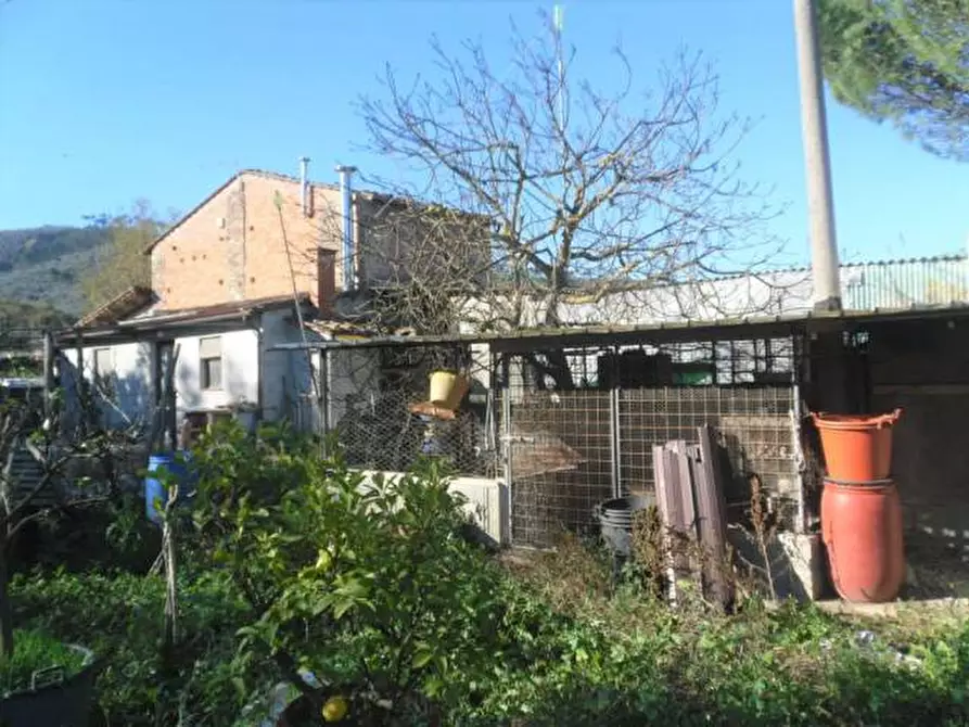 Immagine 5 di Rustico / casale in vendita  a Capannori