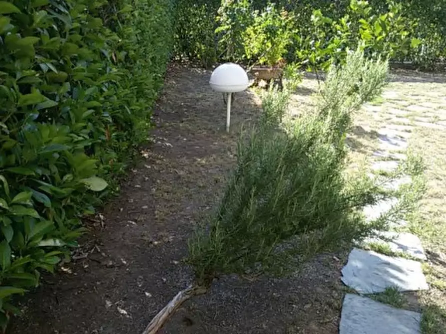 Immagine 7 di Appartamento in vendita  a Carrara