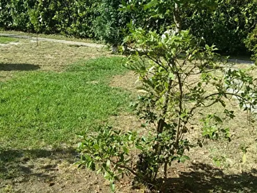 Immagine 3 di Appartamento in vendita  a Carrara