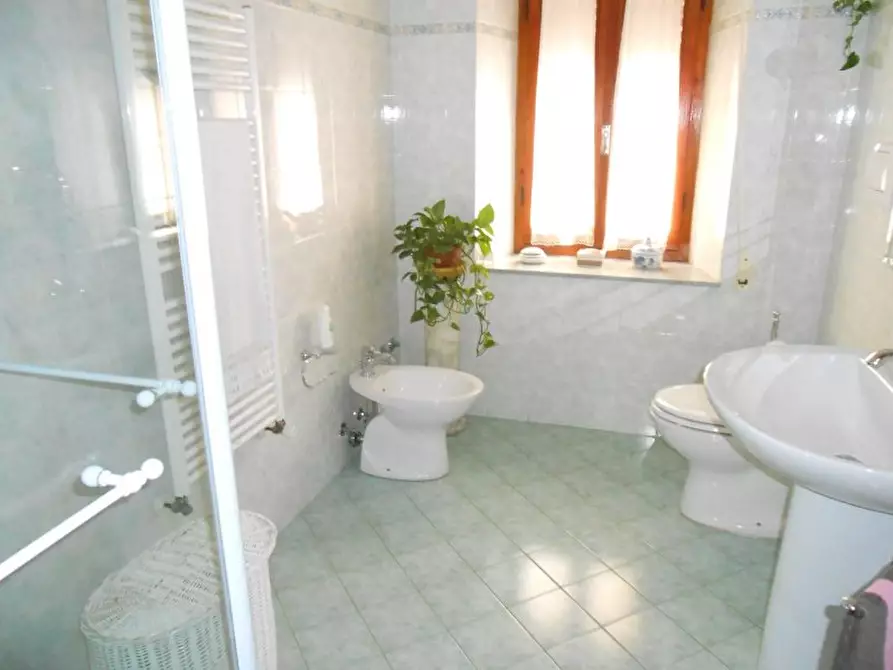 Immagine 5 di Terratetto in vendita  a Vecchiano