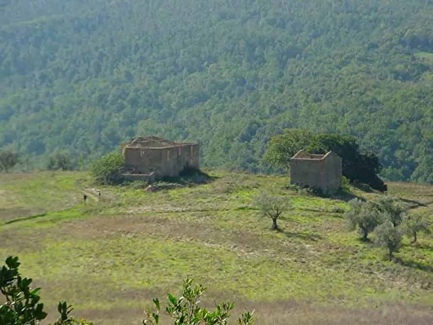 Immagine 1 di Rustico / casale in vendita  a Pomarance