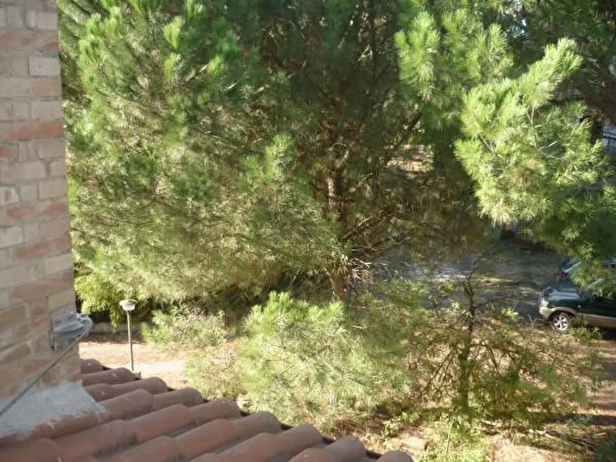 Immagine 7 di Appartamento in vendita  a Siena