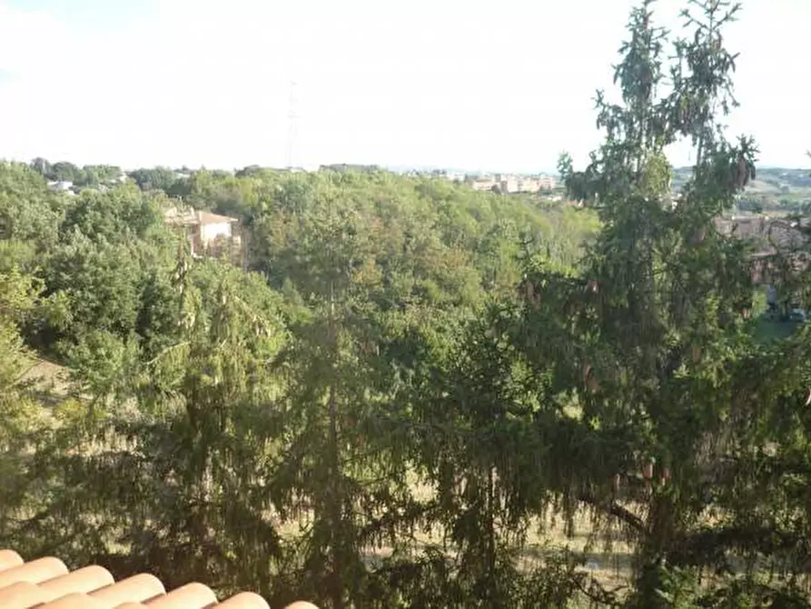 Immagine 3 di Appartamento in vendita  a Siena