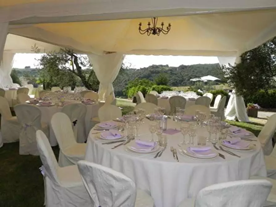 Immagine 3 di Agriturismo in vendita  a Rapolano Terme