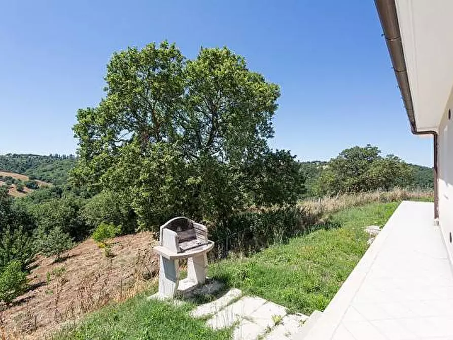 Immagine 9 di Appartamento in vendita  a Scansano