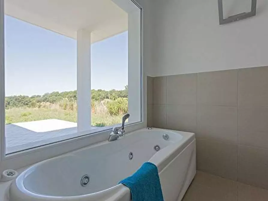 Immagine 5 di Appartamento in vendita  a Scansano