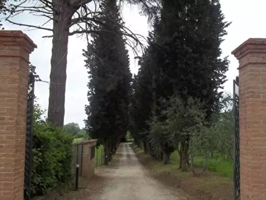 Immagine 9 di Villa in vendita  a Siena
