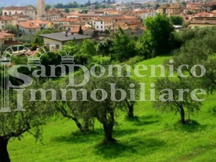 Immagine 1 di Terreno agricolo in vendita  a Capannori