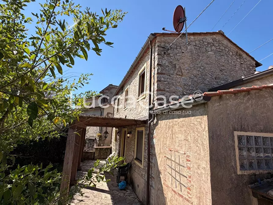 Immagine 30 di Rustico / casale in vendita  a Camaiore