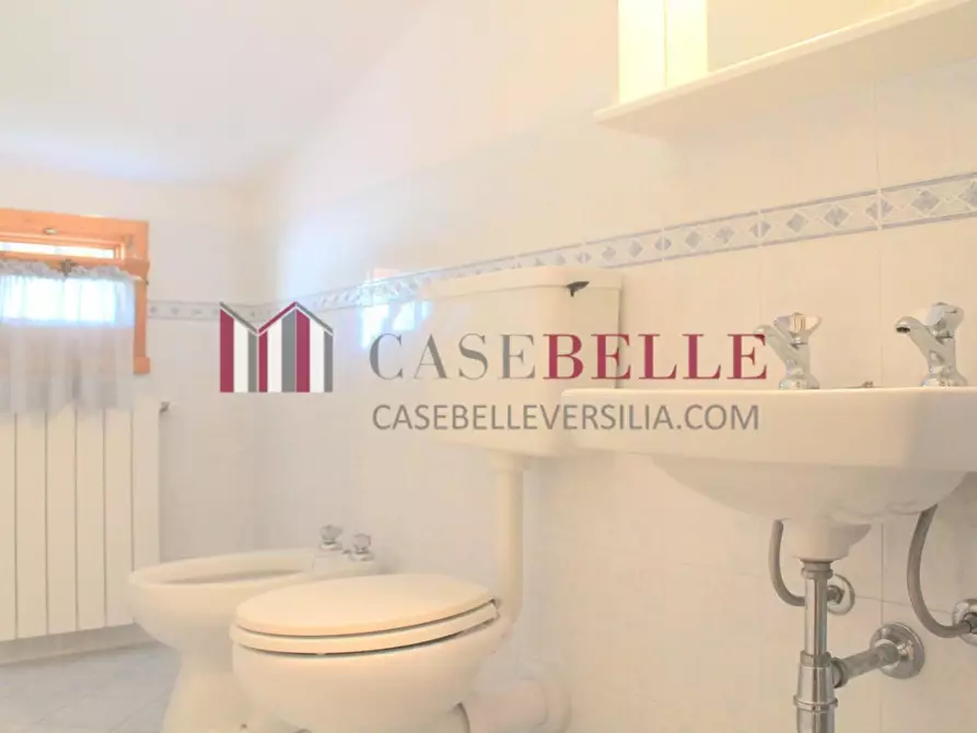 Immagine 30 di Villa in vendita  a Pietrasanta