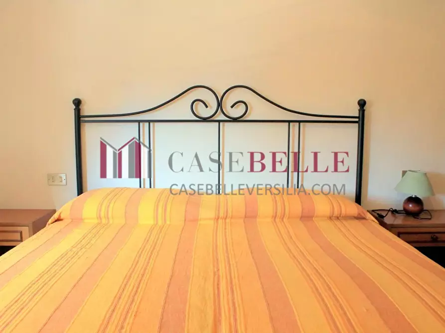 Immagine 22 di Villa in vendita  a Pietrasanta