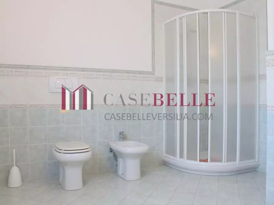 Immagine 17 di Villa in vendita  a Pietrasanta