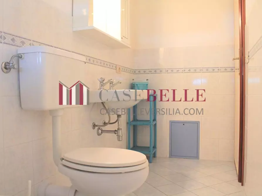Immagine 31 di Villa in vendita  a Pietrasanta
