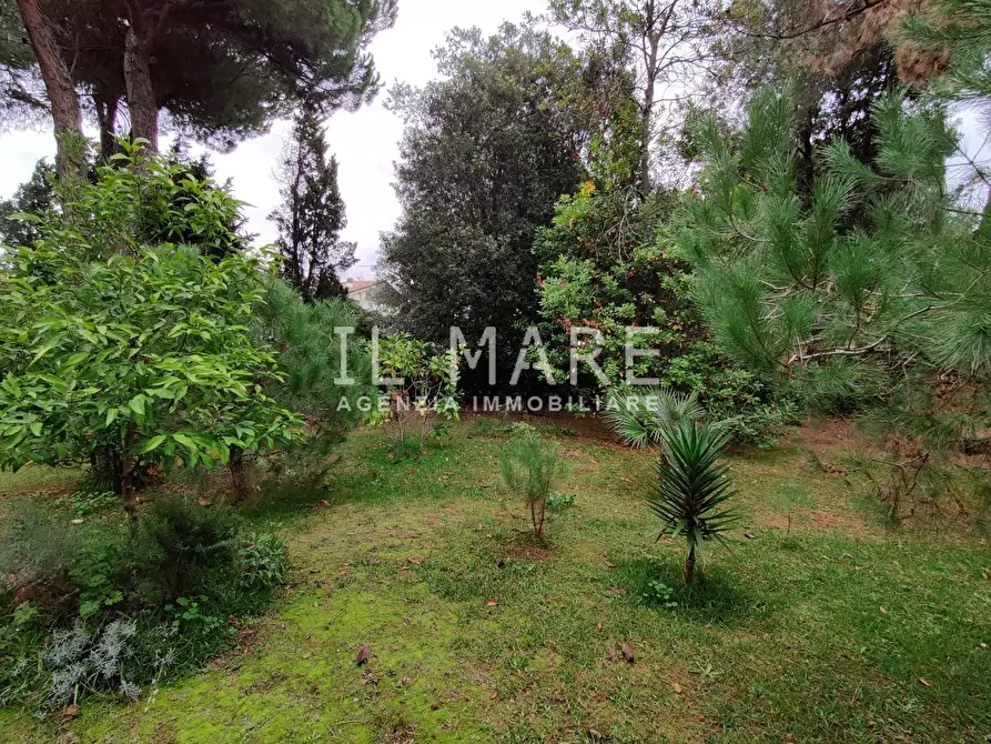 Immagine 5 di Villa in vendita  a Massa