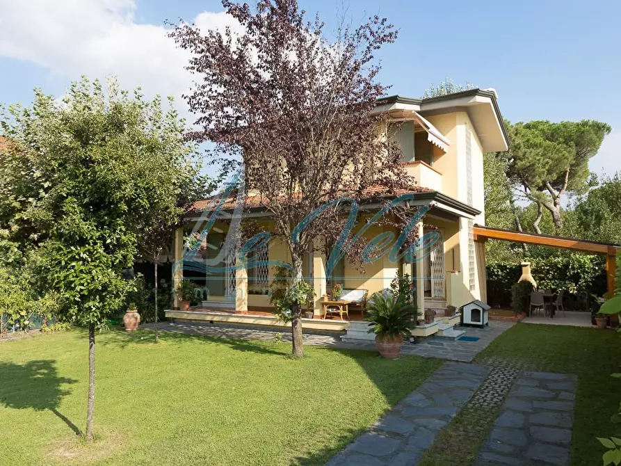 Immagine 3 di Casa indipendente in vendita  a Massa