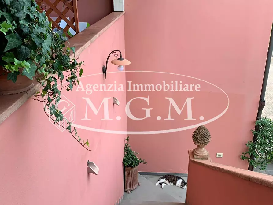 Immagine 22 di Appartamento in vendita  a Pontedera