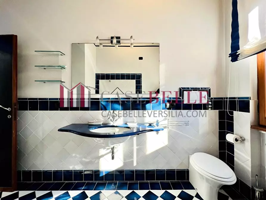 Immagine 31 di Villa in affitto  a Forte Dei Marmi